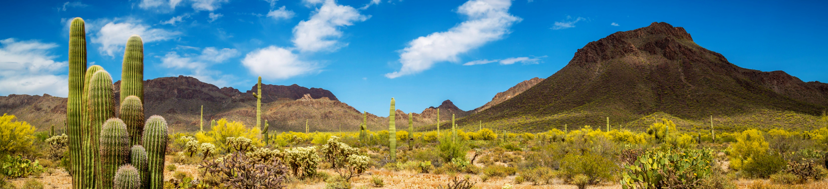 Pioneer Trails - 18 day Self Drive with flights